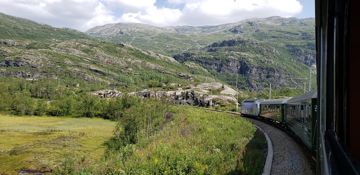 Myrdal to Flåm