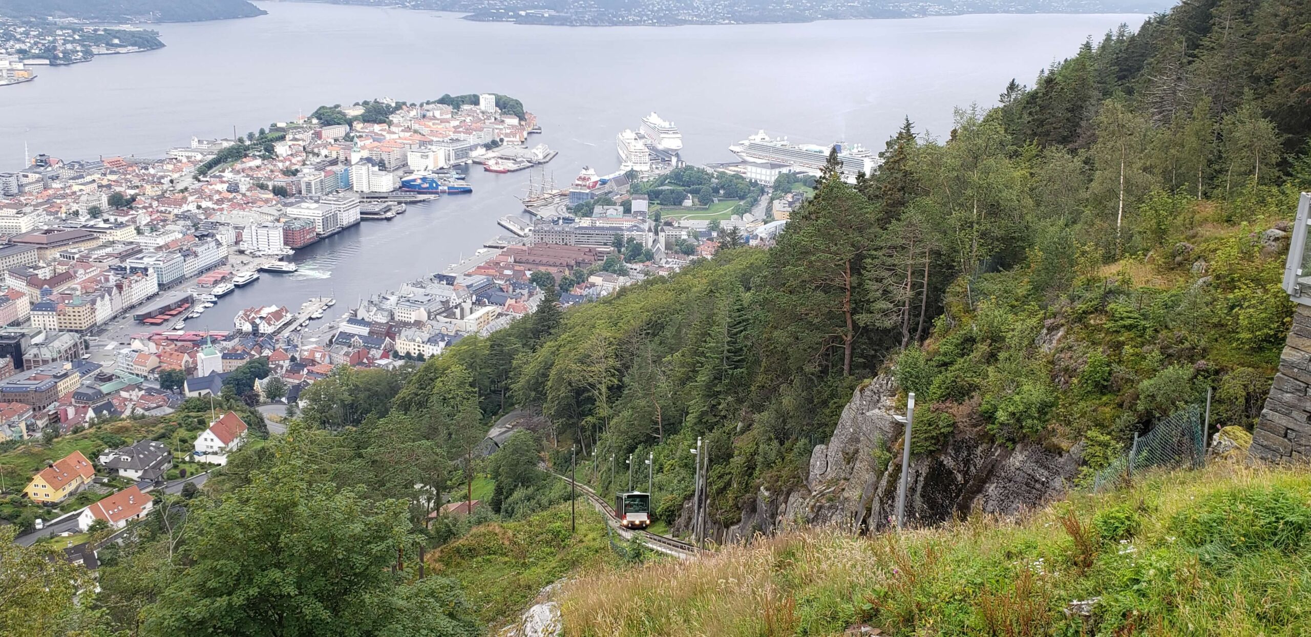View from Mt. Floyen