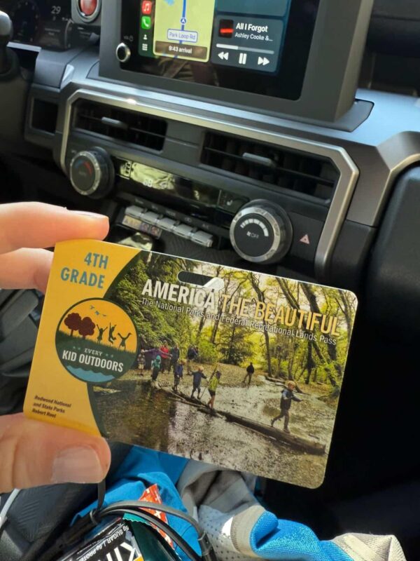 4th Grade Pass